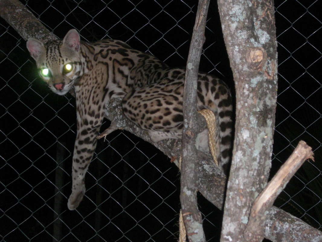 TAKING IT TO A NEW LEVEL