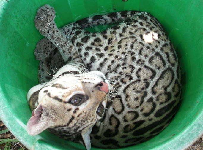 WELCOME TO YOUR NEW HOME